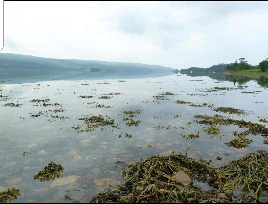 Quirky Lochside Home Inveraray Extérieur photo